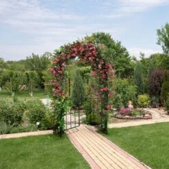 Costway Garden Arch Arbor Trellis With Gate 7.5 Ft Patio Archway Pergola For Wedding 13 Costway Garden Arch Arbor Trellis With Gate 7.5 Ft Patio Archway Pergola For Wedding -Costway GUEST 0c890e14 7a7e 481b 831b caf9f5e8ef0a