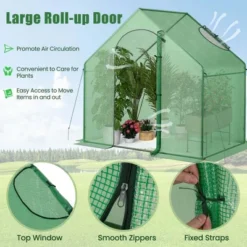 Costway 6 X 3 X 5.5FT Mini Walk-in Greenhouse With PE Cover Rustproof PE-Coated Metal Frame 18 Costway 6 X 3 X 5.5FT Mini Walk-in Greenhouse With PE Cover Rustproof PE-Coated Metal Frame -Costway GUEST 2ecf5c32 fa9d 49dd 970c 3b0e3c95fca3