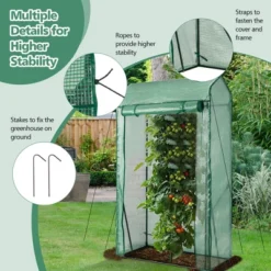 Costway 39'' X 20'' X 67'' Walk-in Garden Greenhouse Hot House Tomato Plant Warm House -Costway GUEST 77b67193 d9cd 47ee 9954 275feba29e14