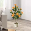 Costway 1/2 PCS 36" Artificial Camellia Tree Fake Potted Tree Greenery Floral Plant Modern Orange/White/Pink