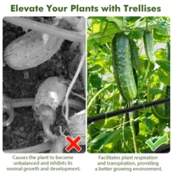 Costway Cucumber Trellis For Plant Climbing Foldable Garden Tunnel Trellis With Plastic Coated Tube 18 Costway Cucumber Trellis For Plant Climbing Foldable Garden Tunnel Trellis With Plastic Coated Tube -Costway GUEST abfa91c9 fa77 48ca bbe6 3a45d9dbcc22