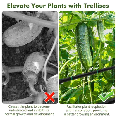 Costway Cucumber Trellis For Plant Climbing Foldable Garden Tunnel Trellis With Plastic Coated Tube 9 Costway Cucumber Trellis For Plant Climbing Foldable Garden Tunnel Trellis With Plastic Coated Tube - Image 7