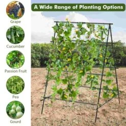 Costway Cucumber Trellis For Plant Climbing Foldable Garden Tunnel Trellis With Plastic Coated Tube 17 Costway Cucumber Trellis For Plant Climbing Foldable Garden Tunnel Trellis With Plastic Coated Tube -Costway GUEST dc6c0920 d66b 4261 ae79 90df838f5473