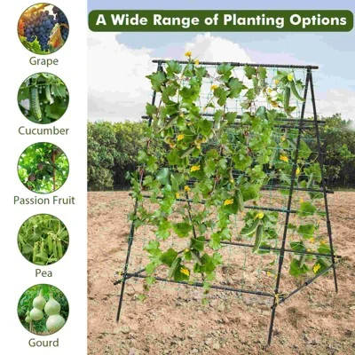 Costway Cucumber Trellis For Plant Climbing Foldable Garden Tunnel Trellis With Plastic Coated Tube 8 Costway Cucumber Trellis For Plant Climbing Foldable Garden Tunnel Trellis With Plastic Coated Tube - Image 6